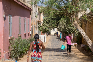 Nederlanders in senegal